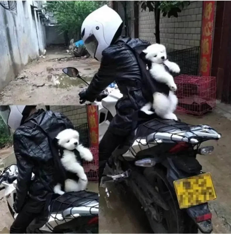 Pet carrier backpacks | Fashionsarah.com