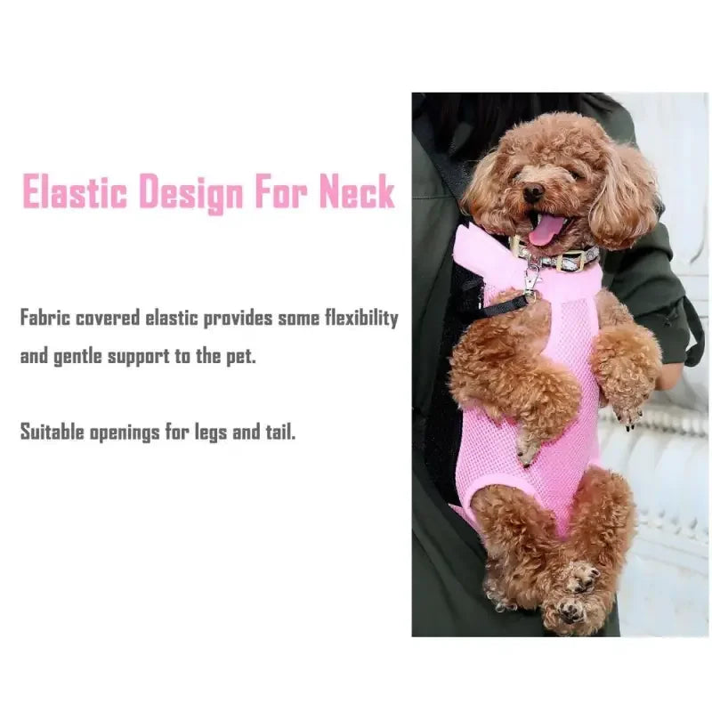 Pet carrier backpacks | Fashionsarah.com