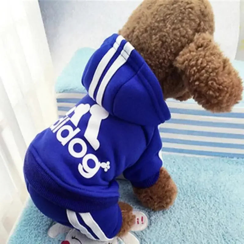 Pet Outfit XS-XXL | Fashionsarah.com