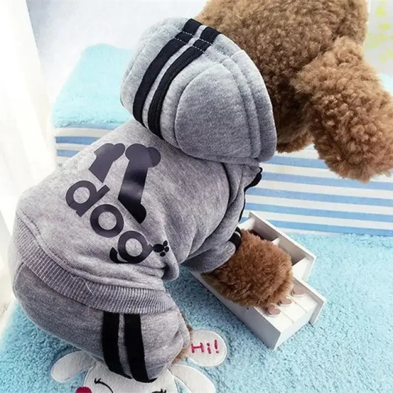 Pet Outfit XS-XXL | Fashionsarah.com