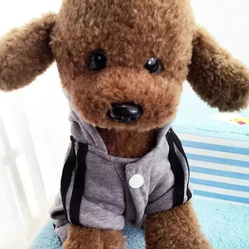 Pet Outfit XS-XXL | Fashionsarah.com