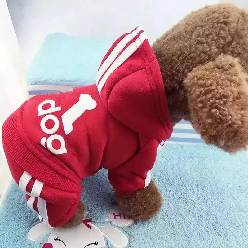 Pet Outfit XS-XXL | Fashionsarah.com