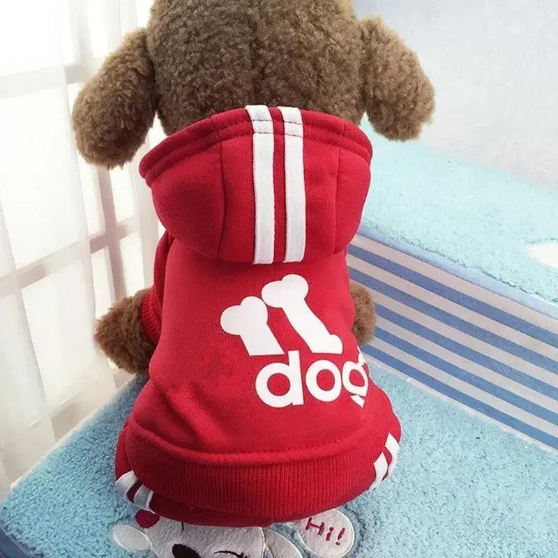 Pet Outfit XS-XXL | Fashionsarah.com