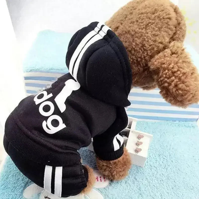 Pet Outfit XS-XXL | Fashionsarah.com