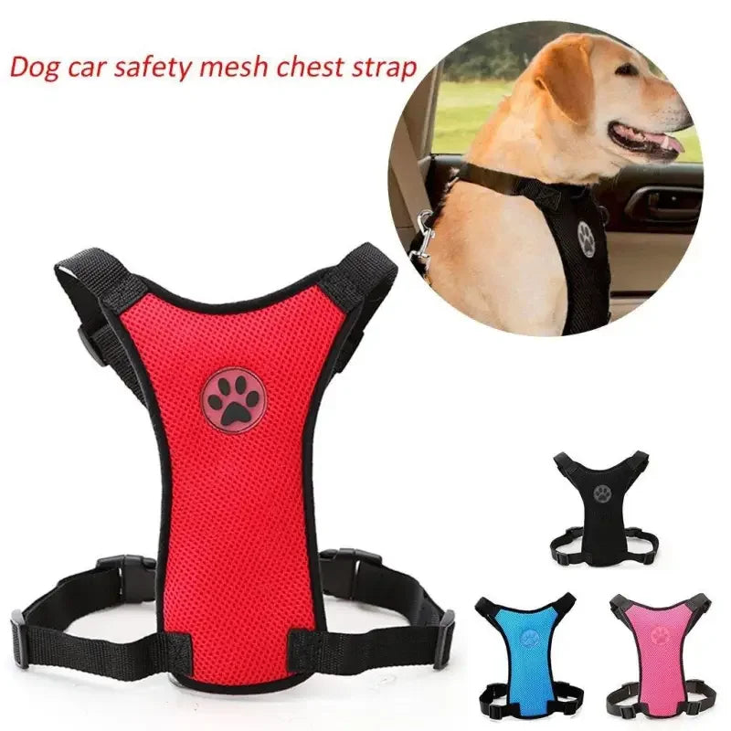 Straps Chest & Car Seat Belt | Fashionsarah.com