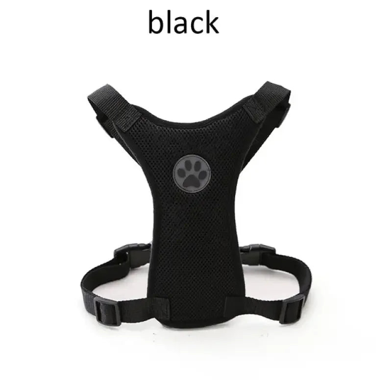 Straps Chest & Car Seat Belt | Fashionsarah.com