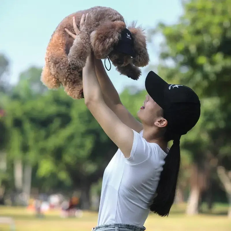 Matching Pet Hat | Fashionsarah.com