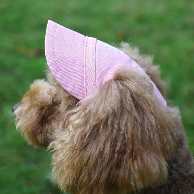 Matching Pet Hat | Fashionsarah.com