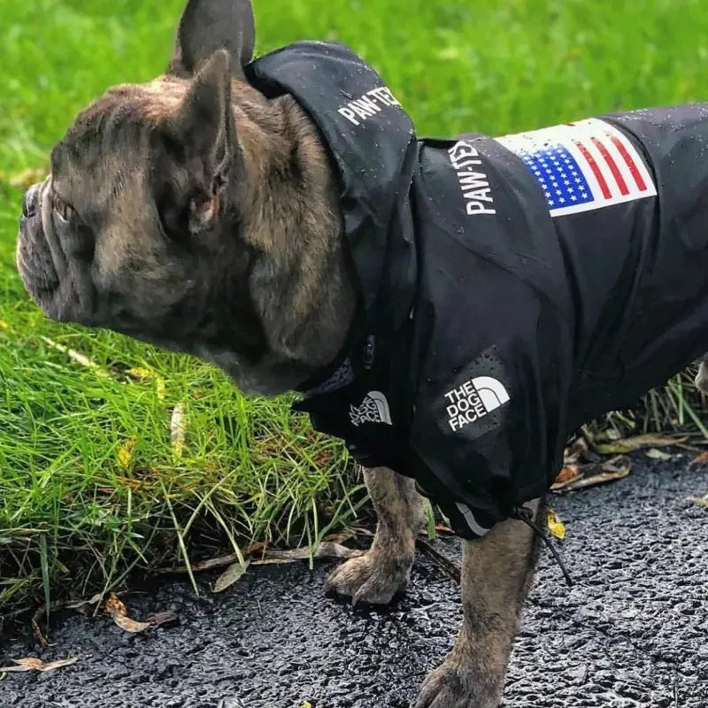 Windbreaker Pet Ropa | Fashionsarah.com