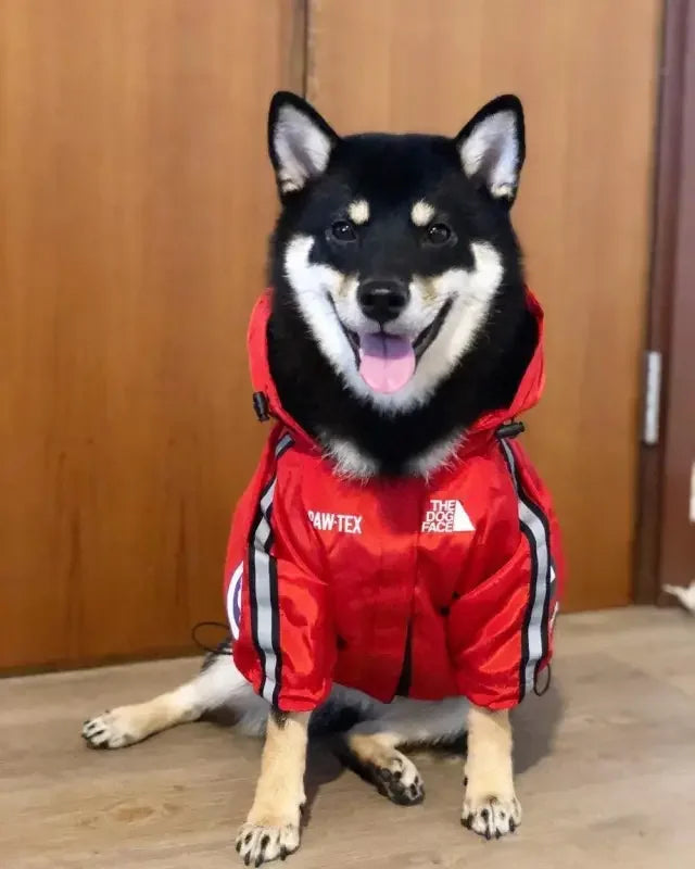 Fashionsarah.com Windbreaker Pet Ropa