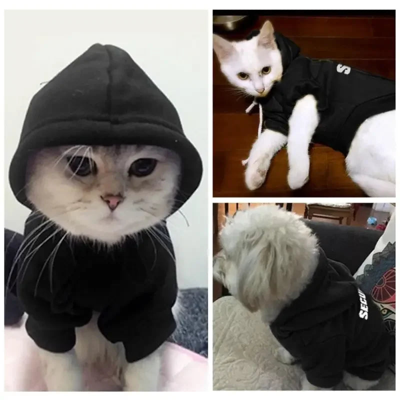 Pet Hoodie For Small Pet | Fashionsarah.com