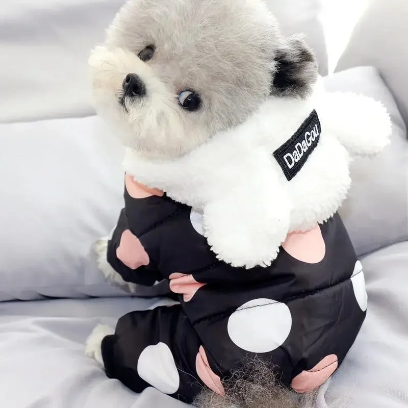 Winter Warm Clothes | Fashionsarah.com