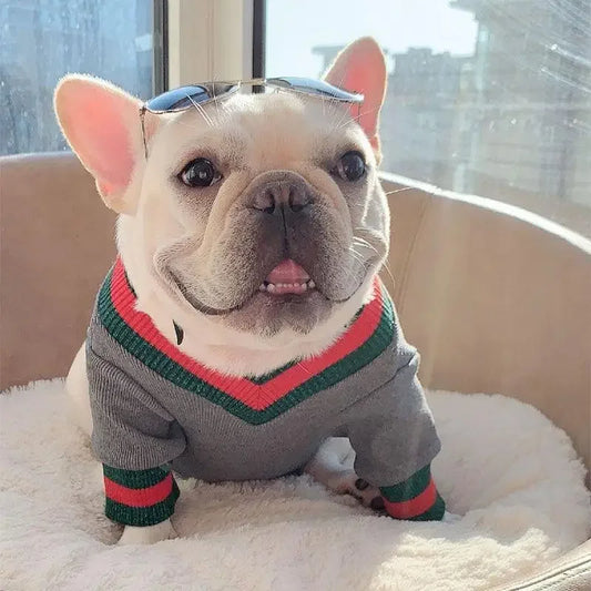 Pet warm top | Fashionsarah.com