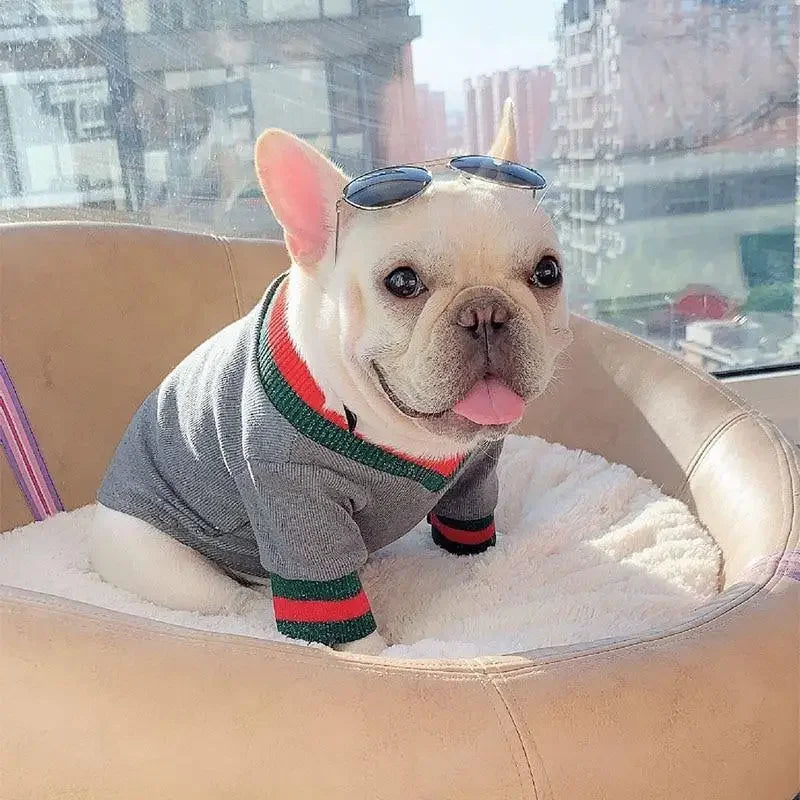 Pet warm top | Fashionsarah.com