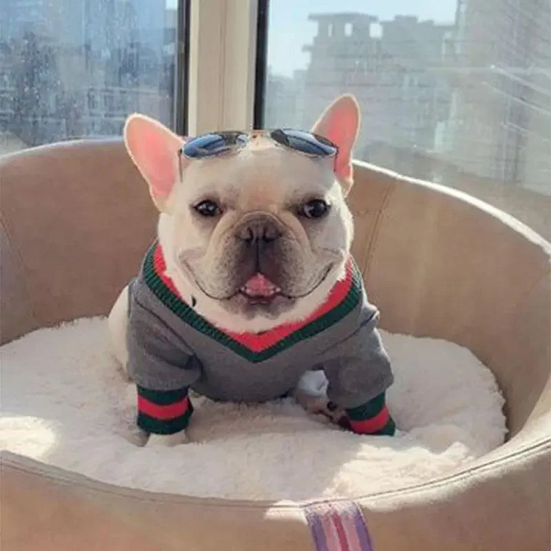 Pet warm top | Fashionsarah.com