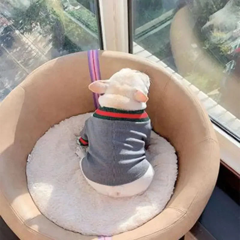 Pet warm top | Fashionsarah.com