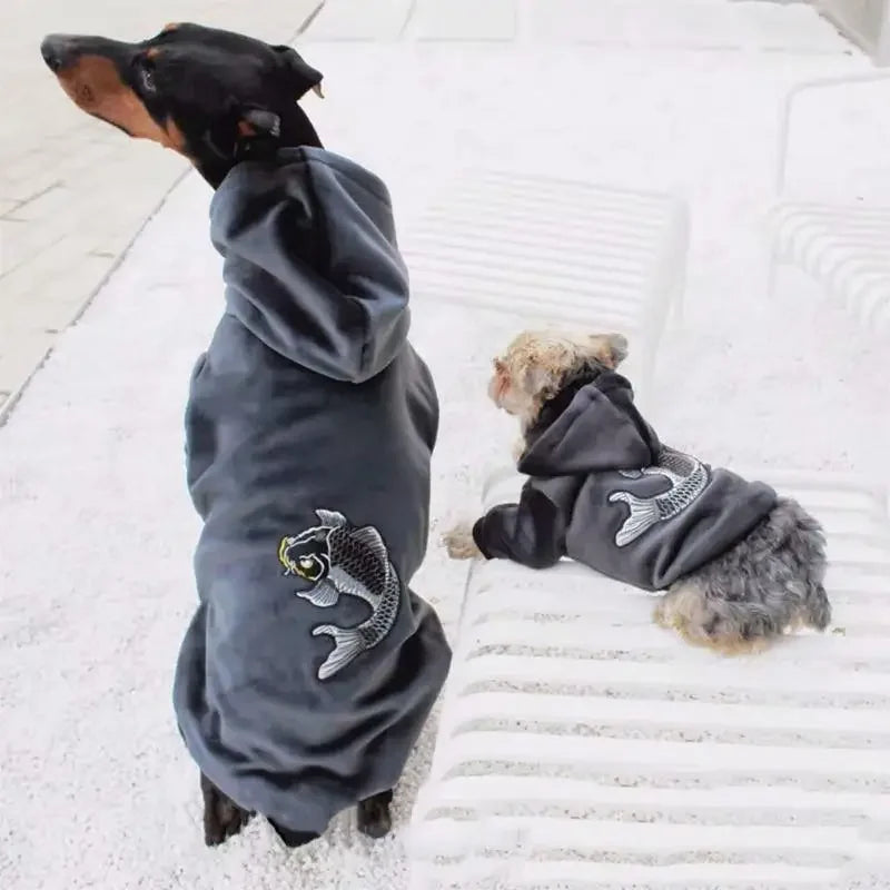 Matching Fashion with Pet Clothes | Fashionsarah.com