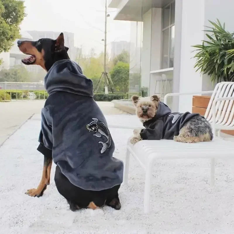 Matching Fashion with Pet Clothes | Fashionsarah.com