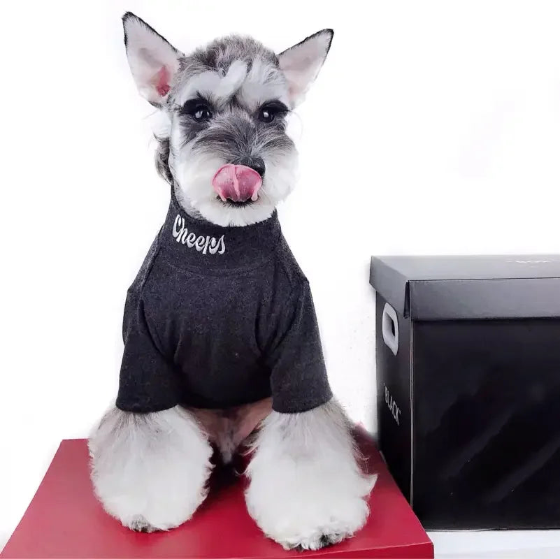 Leather Warm Jacket | Fashionsarah.com