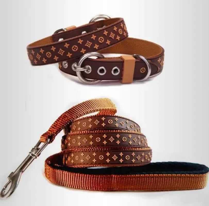 Trendy Pet Collar & Lead | Fashionsarah.com