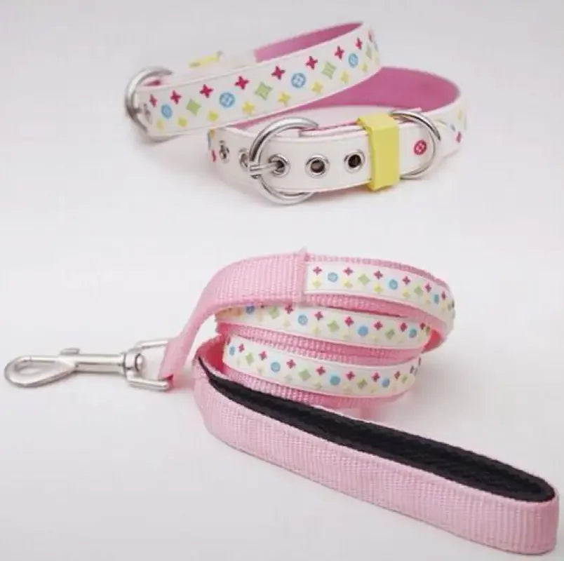 Trendy Pet Collar & Lead | Fashionsarah.com