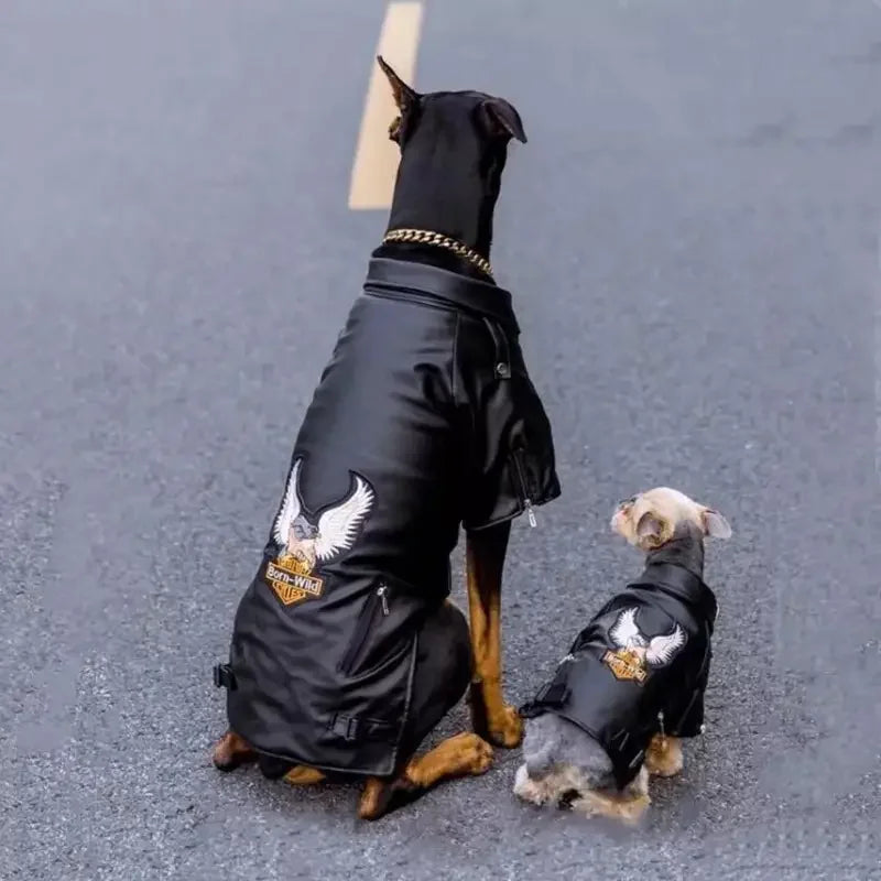 Leather Waterproof Jacket (XXS-XXL) | Fashionsarah.com