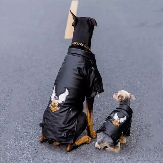 Leather Waterproof Jacket (XXS-XXL) | Fashionsarah.com