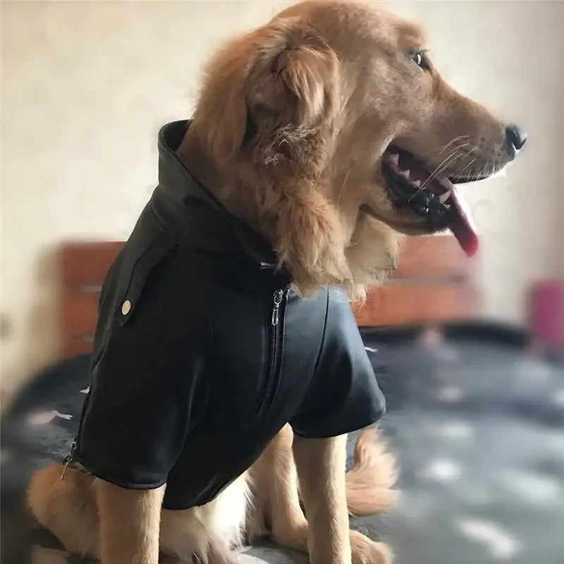 Leather Waterproof Jacket (XXS-XXL) | Fashionsarah.com