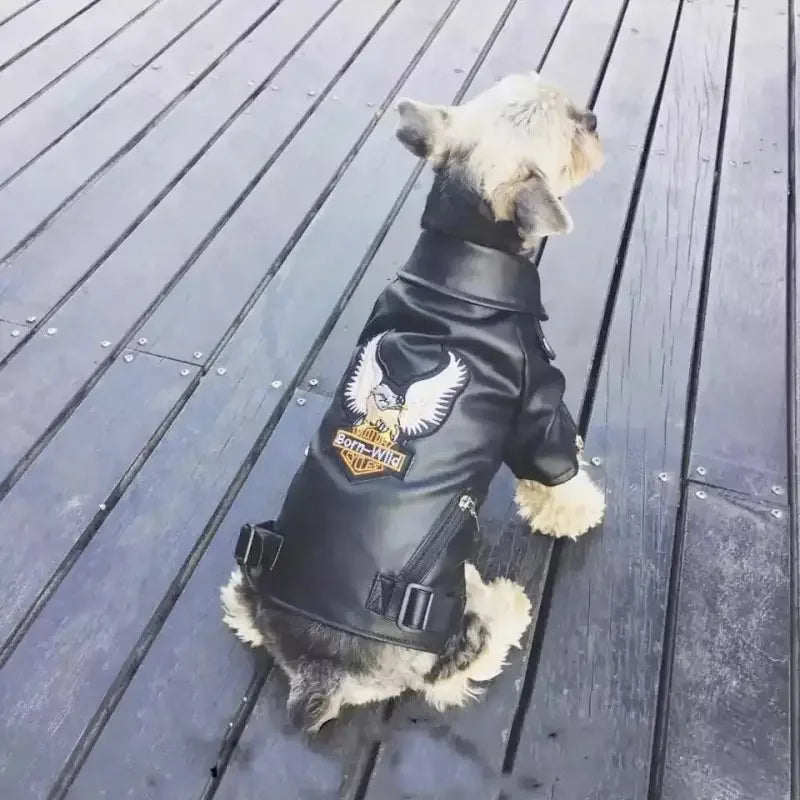 Leather Waterproof Jacket (XXS-XXL) | Fashionsarah.com