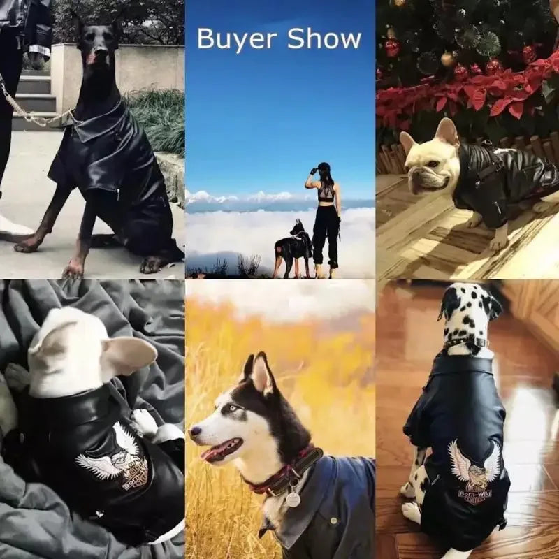 Leather Waterproof Jacket (XXS-XXL) | Fashionsarah.com