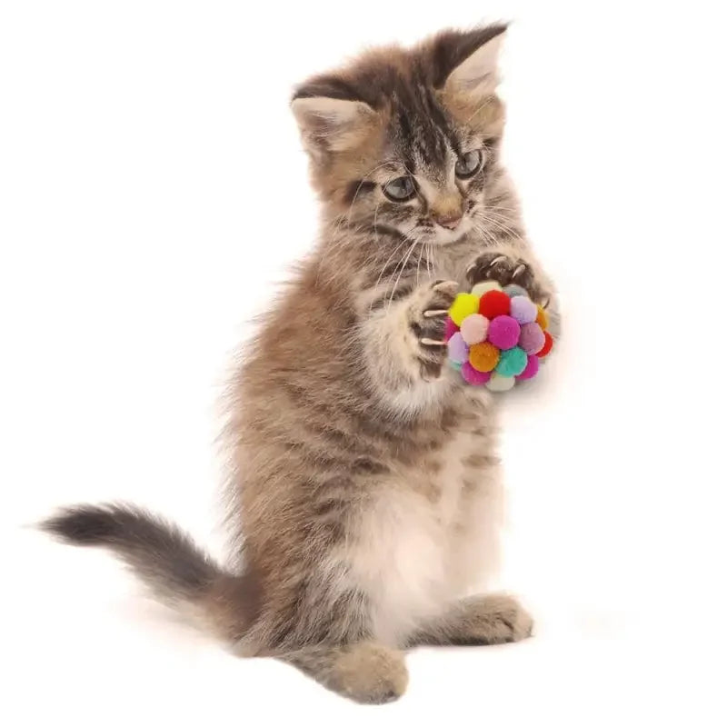 Bouncy Ball Cat Toy | Fashionsarah.com