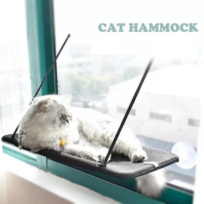 Double window bed | Fashionsarah.com