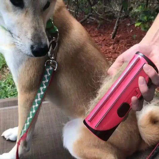 Pet Hair Remover | Fashionsarah.com