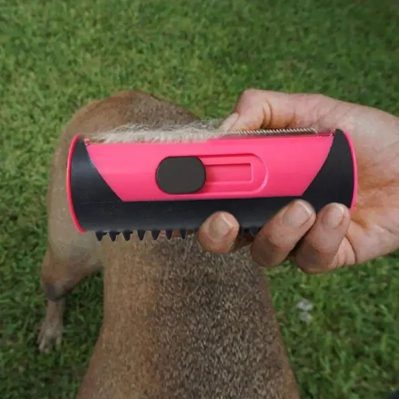 Pet Hair Remover | Fashionsarah.com