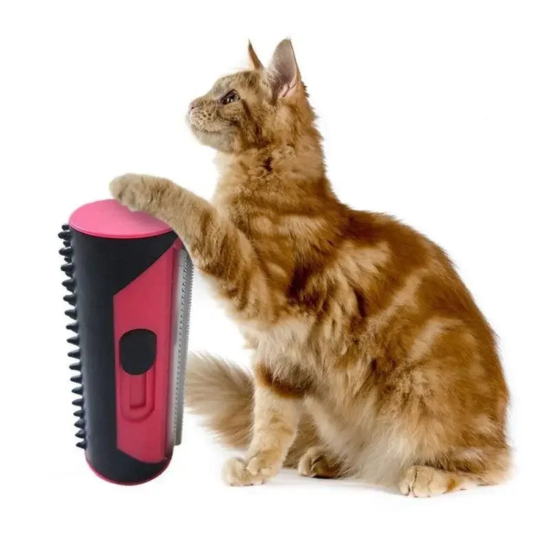 Pet Hair Remover | Fashionsarah.com