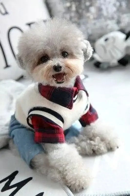 Plaid Shirt With Denim Pants | Fashionsarah.com