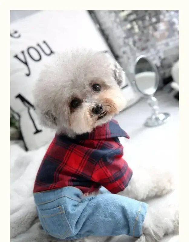 Plaid Shirt With Denim Pants | Fashionsarah.com