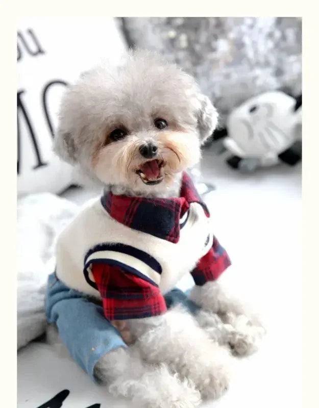 Plaid Shirt With Denim Pants | Fashionsarah.com