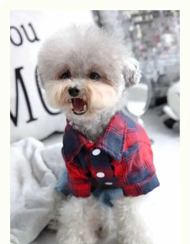 Plaid Shirt With Denim Pants | Fashionsarah.com