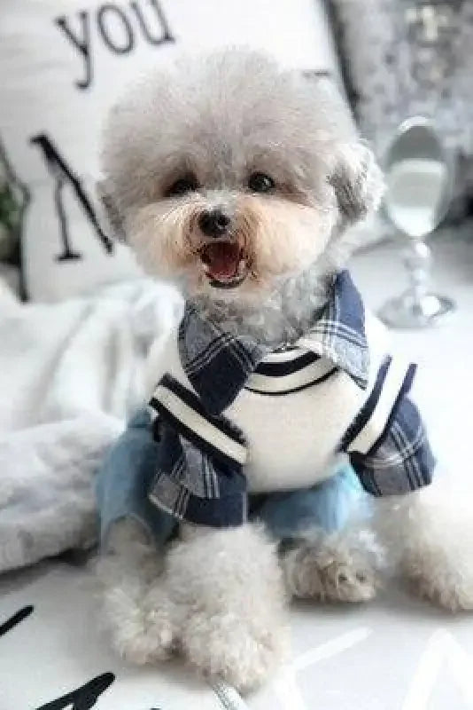 Plaid Shirt With Denim Pants | Fashionsarah.com