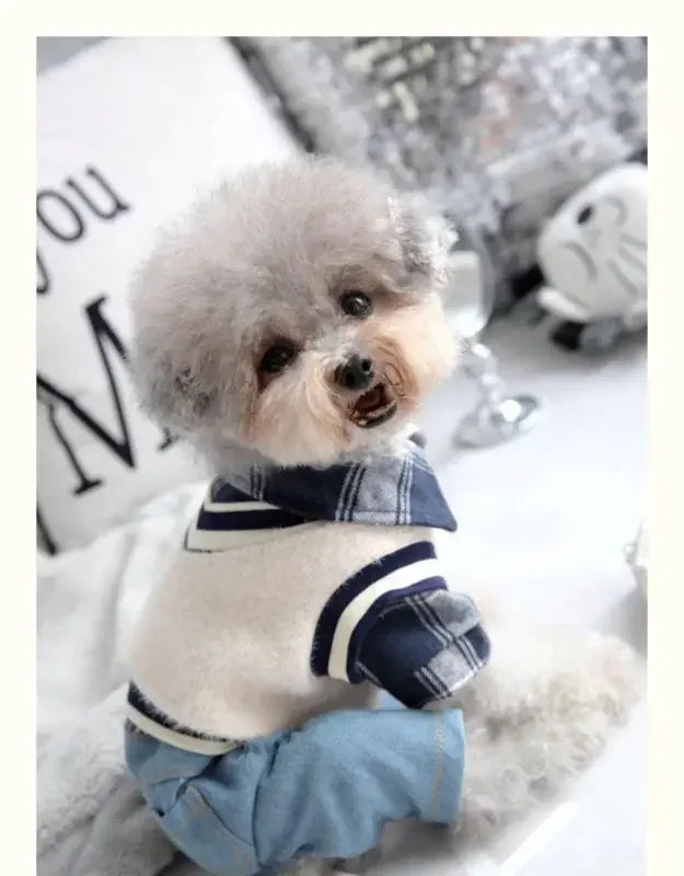 Plaid Shirt With Denim Pants | Fashionsarah.com