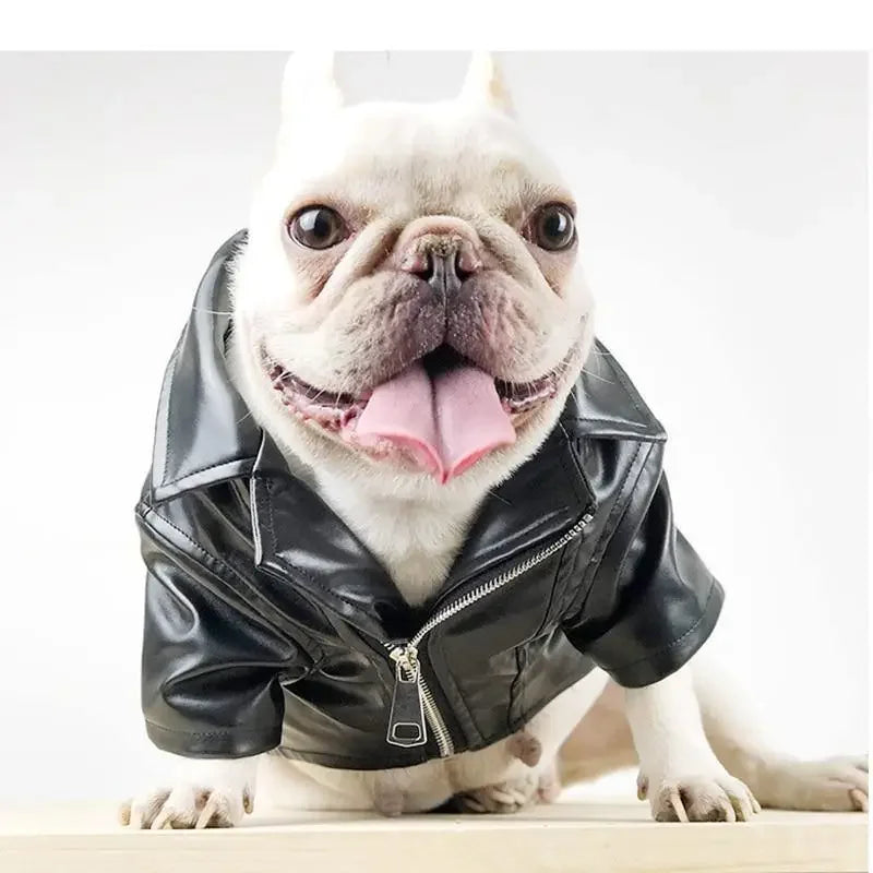 Soft Woven Fabric Jacket | Fashionsarah.com