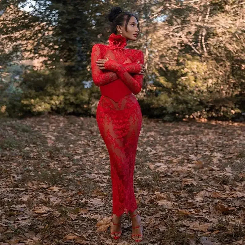 Mesh Sheath Women Dress with Coquette | Fashionsarah.com