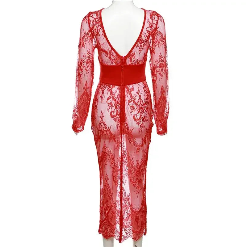 Mesh Sheath Women Dress with Coquette | Fashionsarah.com