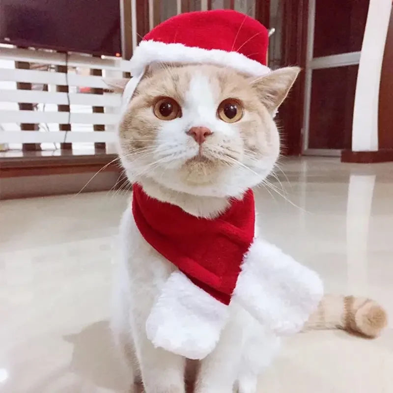 Christmas Pets Accessories | Fashionsarah.com