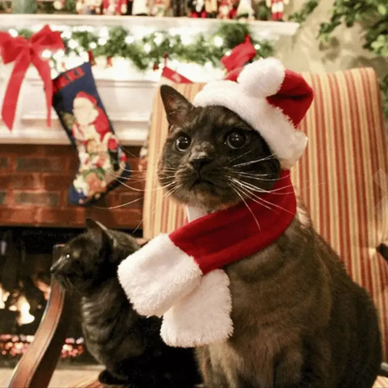 Christmas Pets Accessories | Fashionsarah.com