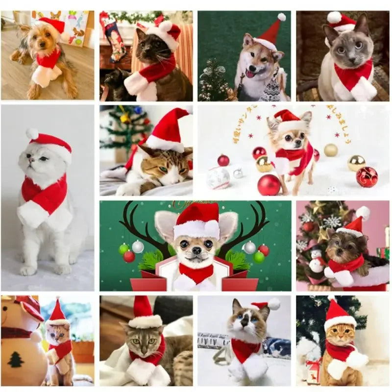 Christmas Pets Accessories | Fashionsarah.com
