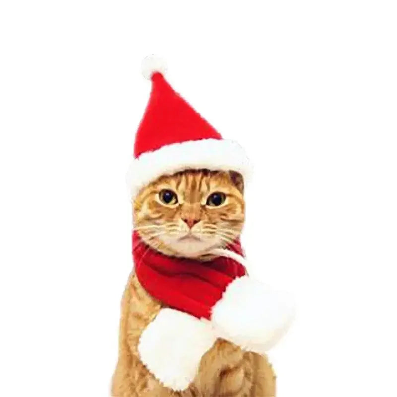 Christmas Pets Accessories | Fashionsarah.com