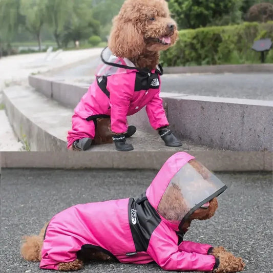 Pet Rain Jackets | Fashionsarah.com