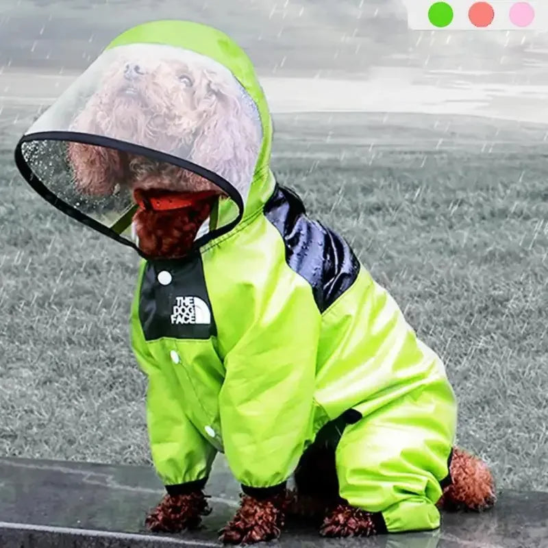 Pet Rain Jackets | Fashionsarah.com